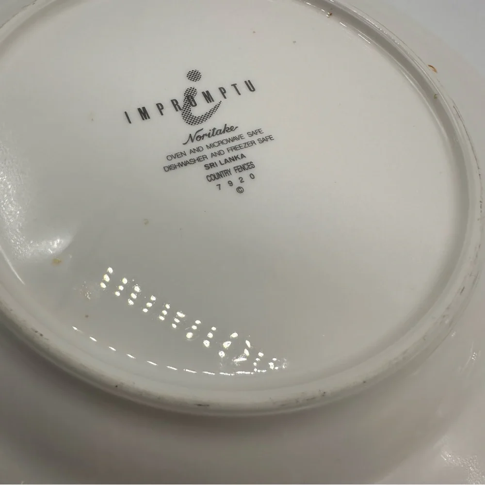 Noritake 2 Vintage Impromptu Country Fences Pattern 7920 Ceramic Salad Plates